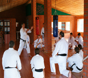 Honbu Dojo Федерации